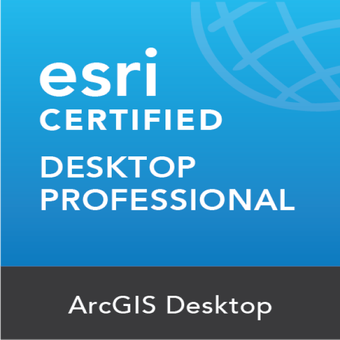 Desktop Professional